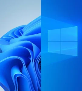 Windows 10 & 11 Bootable USB
