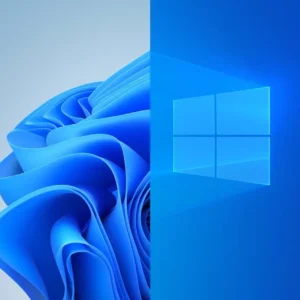 Windows 10 & 11 Bootable USB